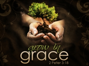 grow-in-grace-2-peter-3-18